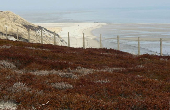 Long Comfortable Holiday Residence - Foto 22