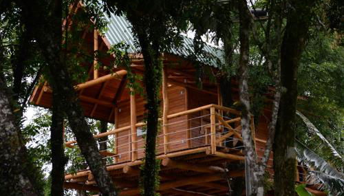 Casa na Árvore - Foto 2