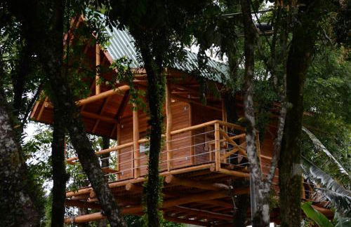 Casa na Árvore - Foto 2