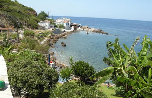 Alkioni Studios - Foto 61