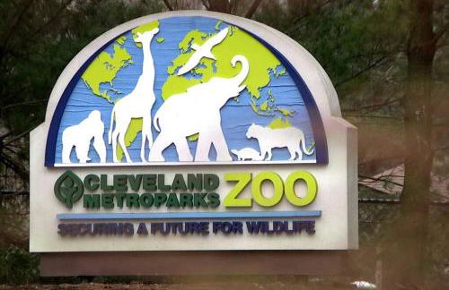 **Stylish Pet Friendly 3 Bedroom House** - Foto 36