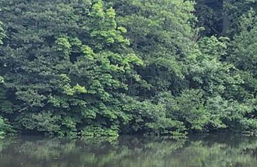 The Meadow - Foto 14