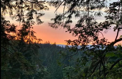 Forest Gallery- Mid-Century Modern With City Views - Photo 48