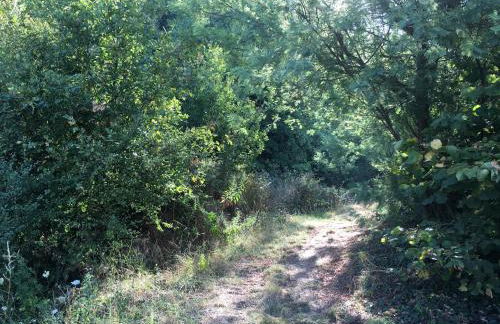 Villa Baronzola - Foto 45