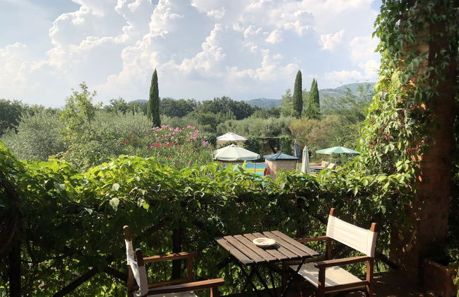 Agriturismo Podere Marchiano - Foto 19