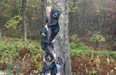 Roscoe Retreat - Foto 74