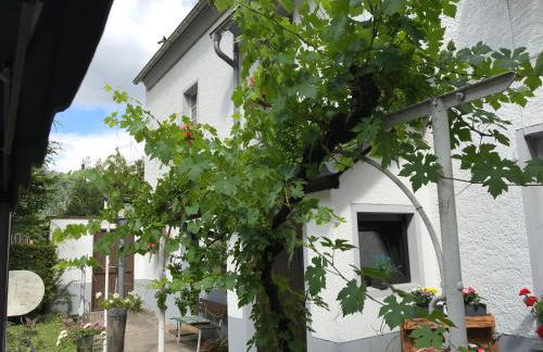 Ferienwohnung Lahnmündung - Foto 4