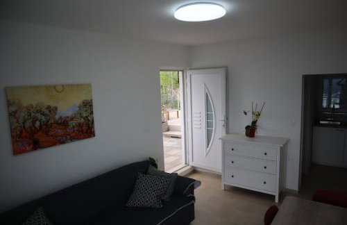 apartman bogoje zapad - Photo 19