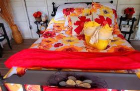 Unique Repurposed Barn near Niles for Glamping in Michigan - Foto 19