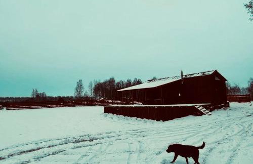 Drewniana ostoja, jacuzzi, sauna, basen - domek na wyłączność - Foto 28