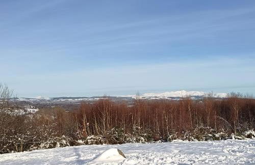 Le champenois - Photo 17