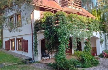 Wczasy na Kaszubach, balia, sauna, jezioro - Foto 1