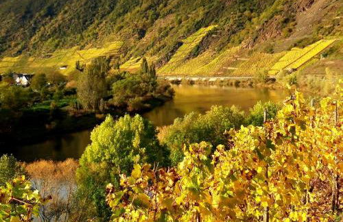 Ferienwohnung Ambiente II und III - Foto 58