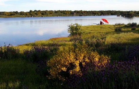 Cabañas del Cortino - Foto 42