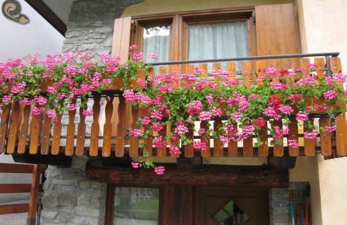 Appartamenti Lo Scoiattolo - Noce e Nocciola - Foto 13