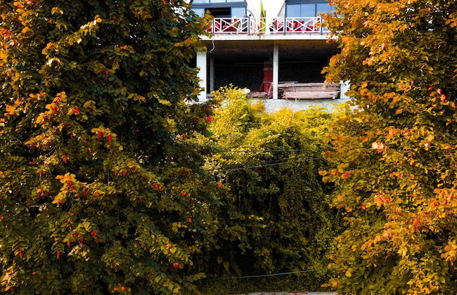 VadiVera Suite Bungalow - Foto 19