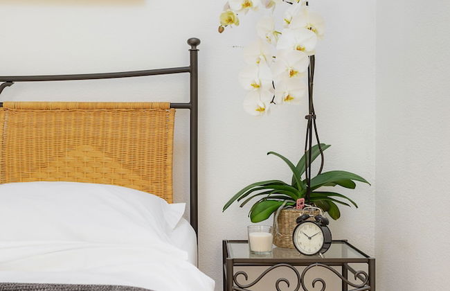 Apartments Swiss Star Sihlfeld - Foto 16