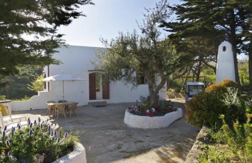 La Limonaia - Foto 6