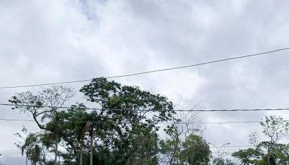 Friends of Nature House - Foto 3