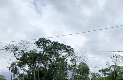 Friends of Nature House - Foto 3