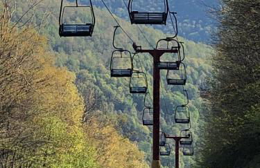 Blue Knob Bear Den (Nordic Center/Golf Course) - Foto 26