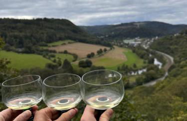 Ferienwohnung Moselflair mit direktem Blick auf die Mosel und Weinberge - Foto 25