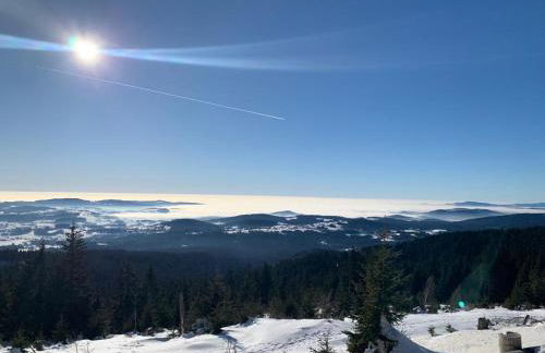 Große Ferienwohnung Hundertwasser am Dreisessel in Altreichenau - Foto 39