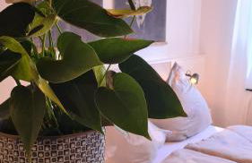 Ferienwohnung Altenberg - Foto 6