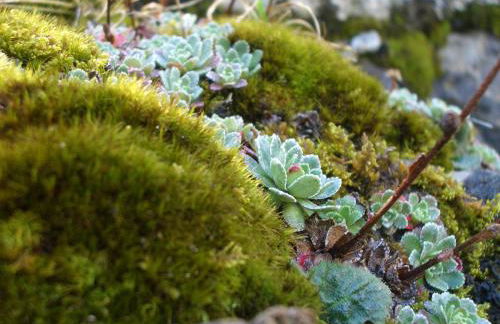 Apartamentos Ball Benas Edificio Mirador - Foto 59