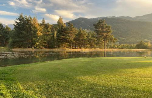 Petit chalet 40 m2 en Ubaye BARCELONNETTE - Foto 17