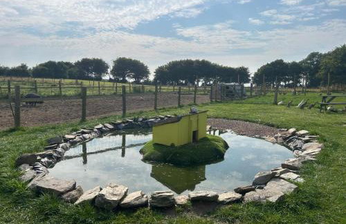 Hele Bay Cottage - Foto 51