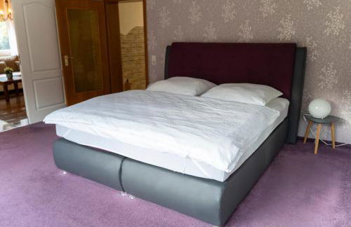 Marburg Apartment entspannter Erwin in ruhiger Waldrandlage mit Balkon und Kamin - Foto 10