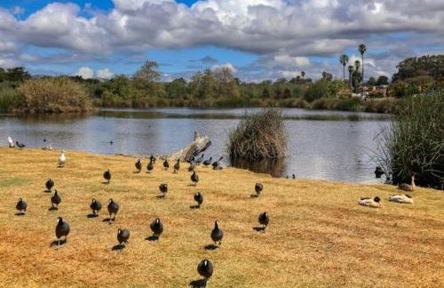 Pacific Plaza #204 - Eagles Nest - 1BdrmUp-K - Foto 28