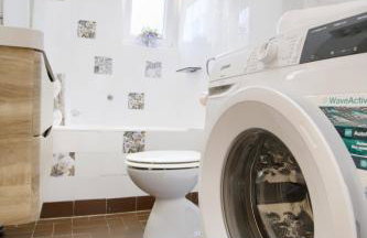 Suzy's botanica - Foto 13