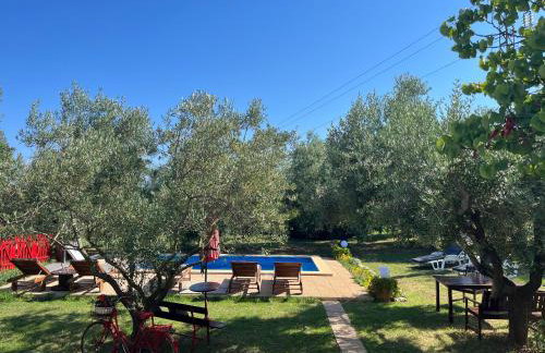 Annamaria Home - Foto 6