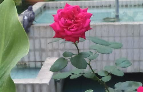 Garbatella Chippendale Apartment - Foto 25