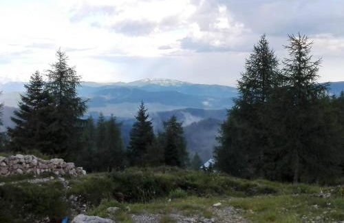 Il nido del pettirosso alloggio per coppie - Foto 44