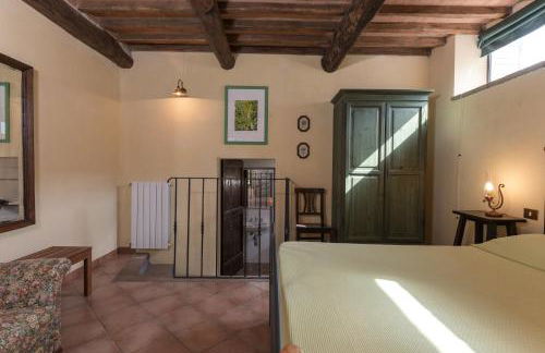 Agriturismo Colli di Travale - Foto 14