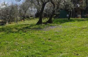 Casa Vacanze Porta Vecchia - Foto 25