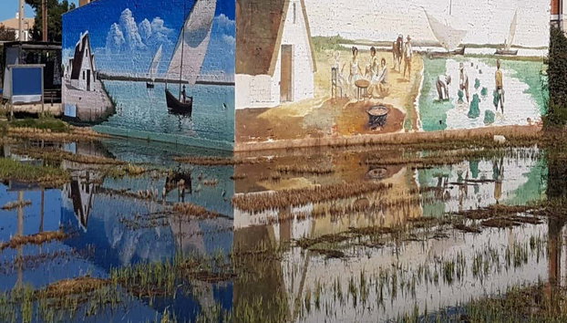 Visite de Valence et de l'Albufera + Rizières - Photo 2, Visitez l'Albufera