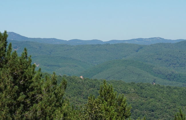 Ariadne Eco Retreat - Photo 21