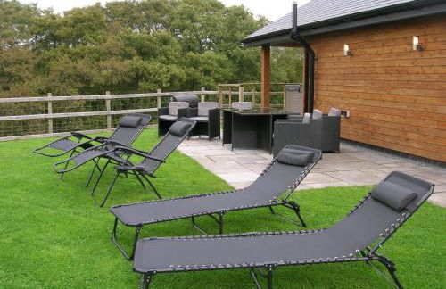 Woodland Lodge Hot Tub Sleeps 6 - Photo 39