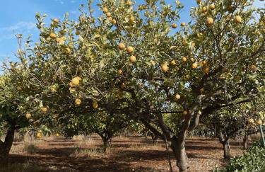 Villa Stefano - avec piscine privée à Trapani - Foto 33