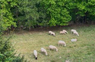 Wohnung in Siegen Parkplatz WLAN Autobahn - Foto 10