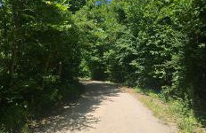 Leśne Sny - Kretowiny - Foto 34