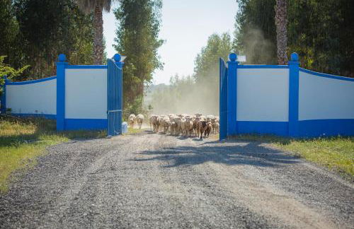 Monte do Lago, Pegões - Foto 60