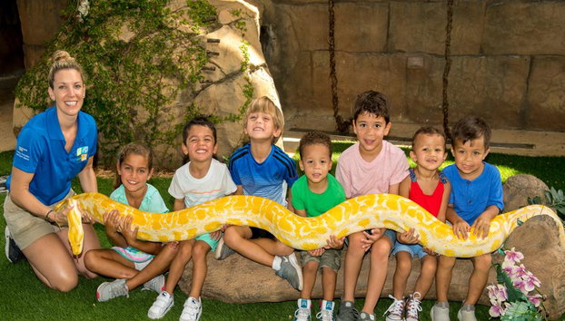 Zoo Miami - Entrada - Foto 2