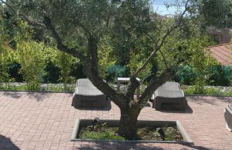 Venetiko Villas - Foto 12