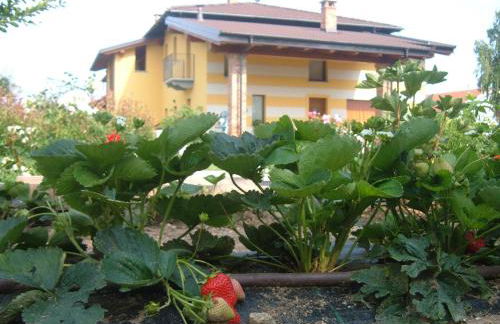 Agriturismo Fior Di Campo - Foto 78