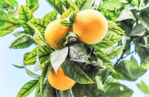 Vita Portucale ! Moscavide Casa Branca w/ Terrace - Photo 37